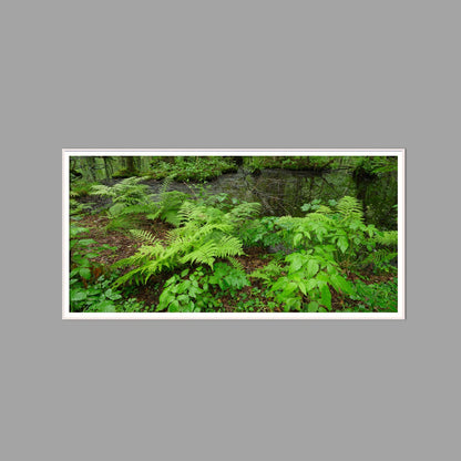 LED-Wandbild 60x120 cm quer – Wald