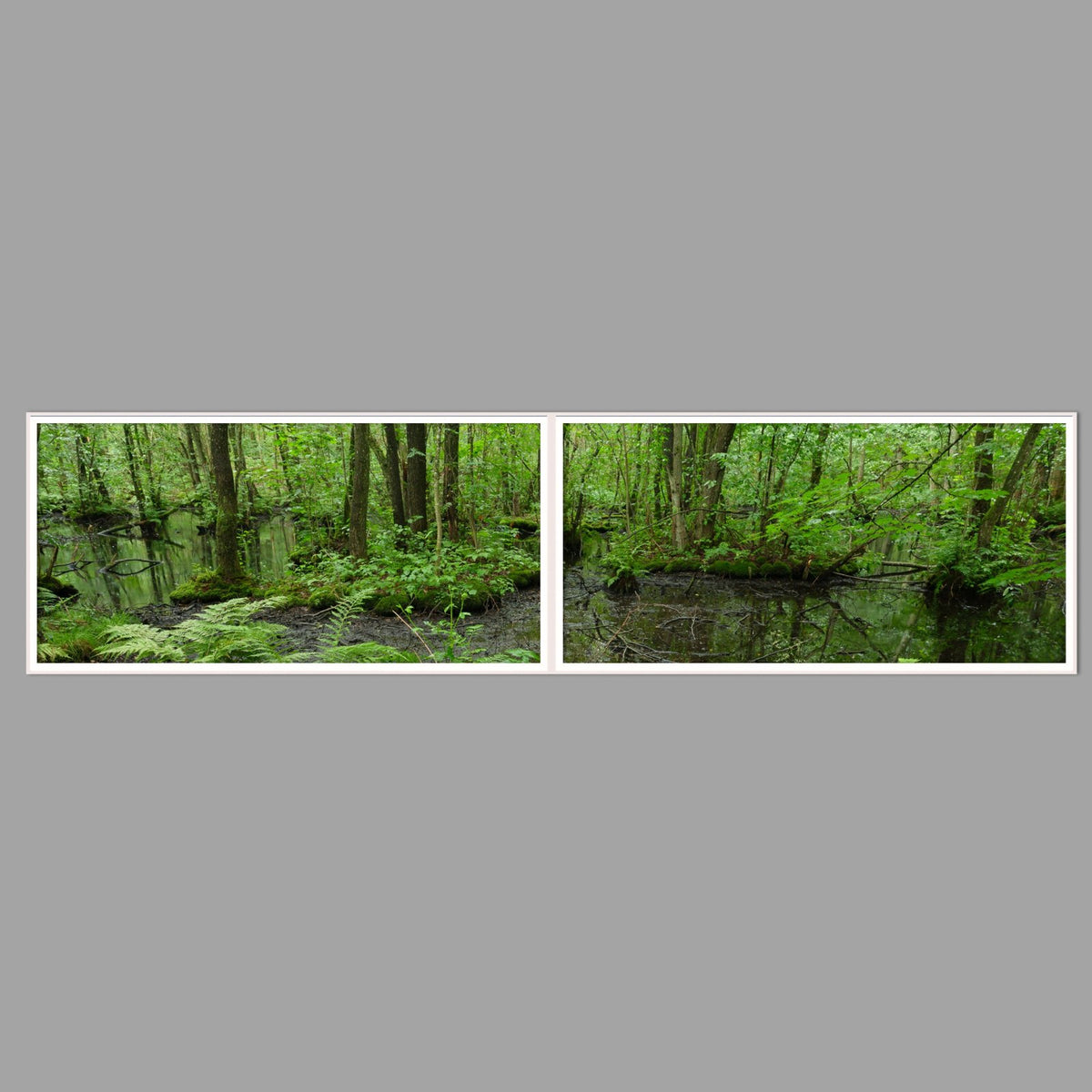 LED-Wandbild Zweiteiler quer 240x60 cm – Wald