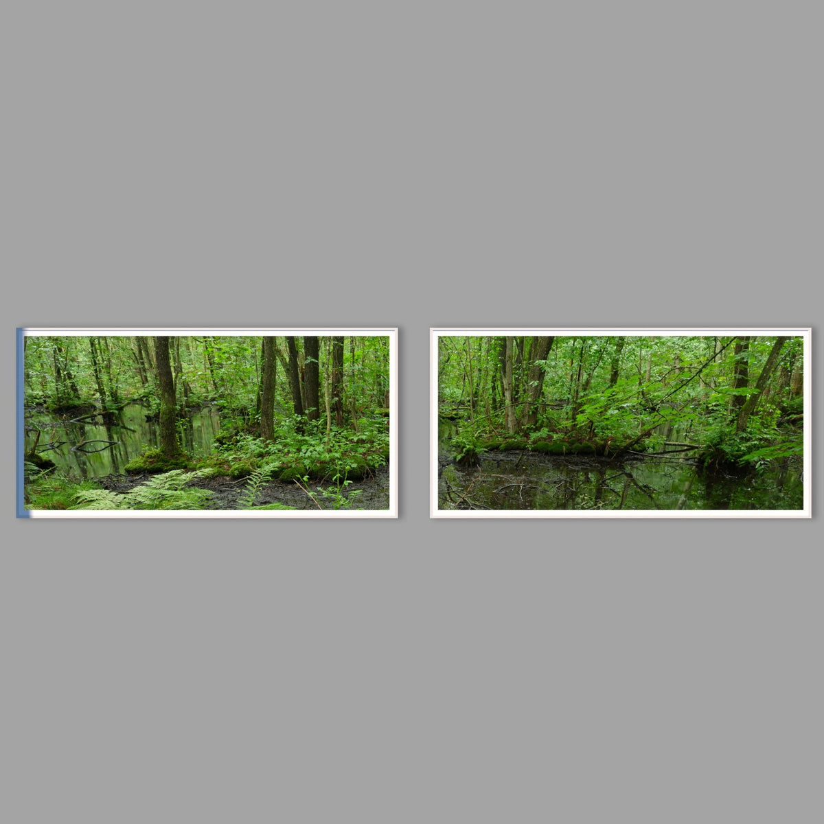 LED-Wandbild Zweiteiler quer mit Abstand – Wald