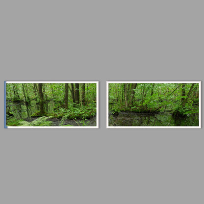 LED-Wandbild Zweiteiler quer mit Abstand – Wald