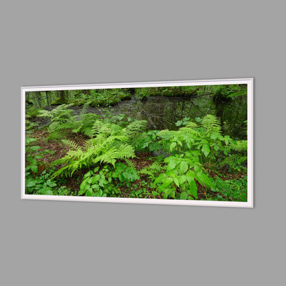 LED-Wandbild 60x120 cm quer – Wald