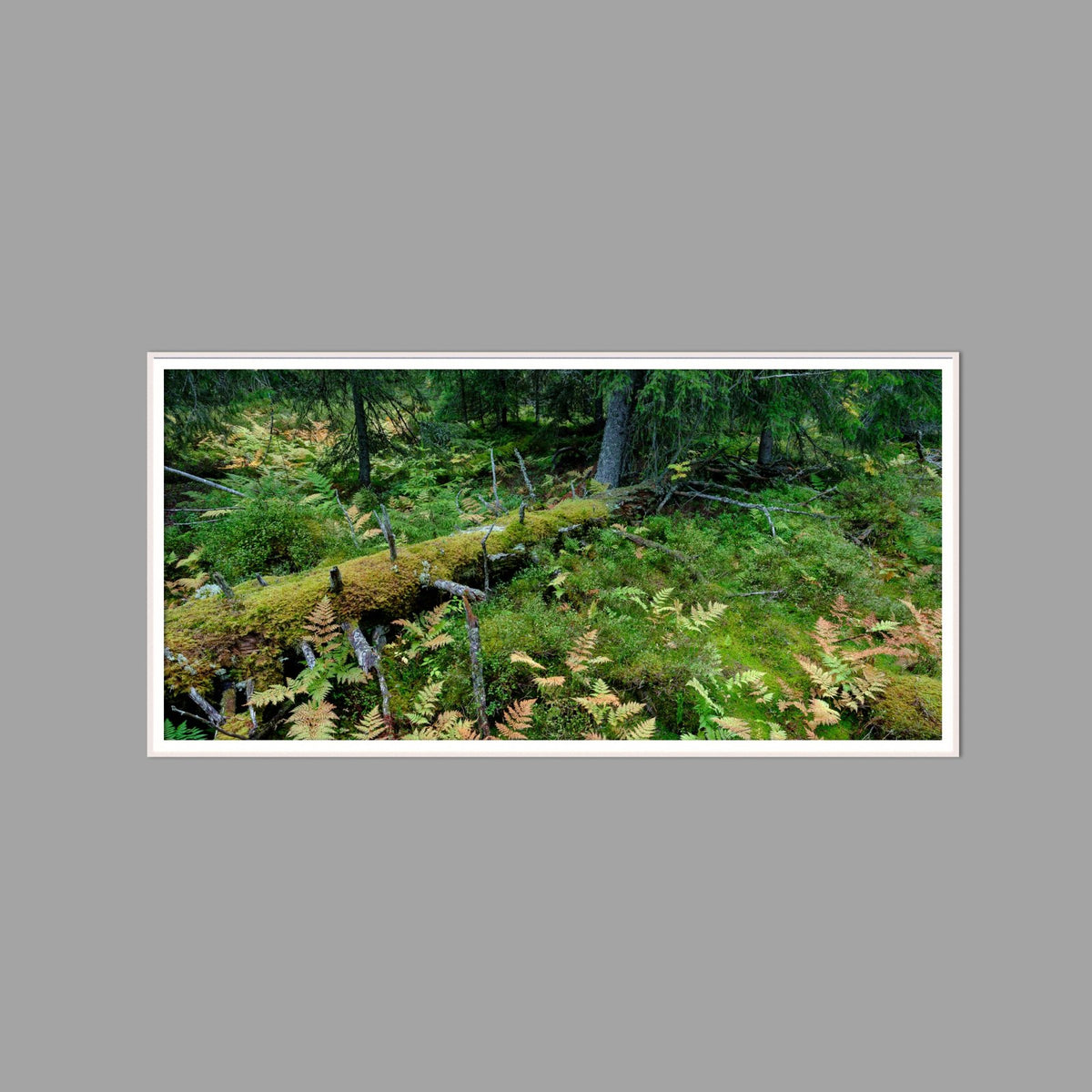 LED-Wandbild 60x120 cm quer – Wald