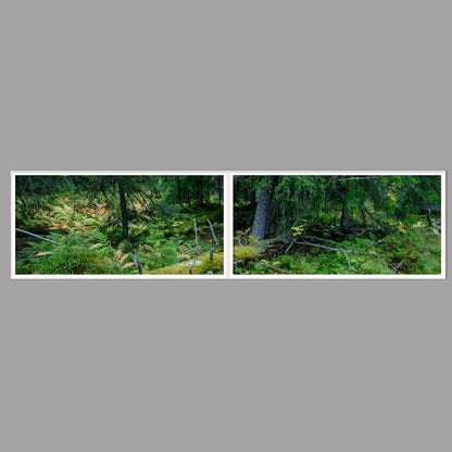 LED-Wandbild Zweiteiler quer 240x60 cm – Wald