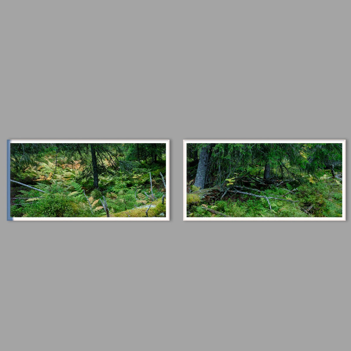 LED-Wandbild Zweiteiler quer mit Abstand – Wald