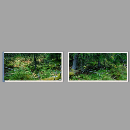 LED-Wandbild Zweiteiler quer mit Abstand – Wald