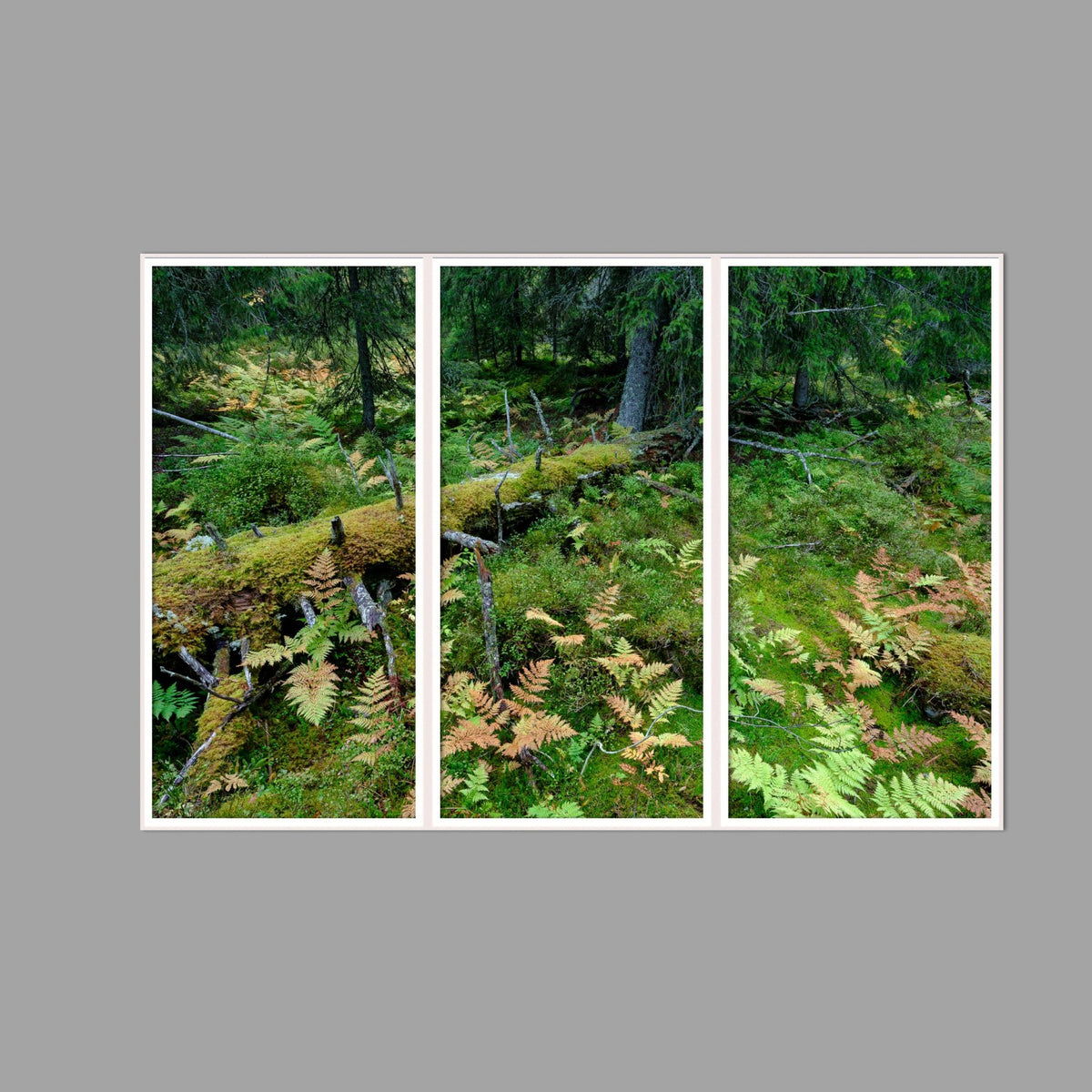 LED-Wandbild Dreiteiler hochkant 180x120 cm – Wald