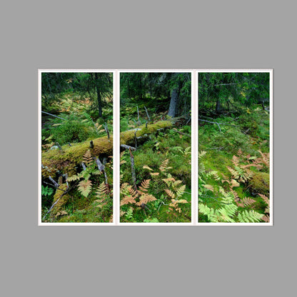LED-Wandbild Dreiteiler hochkant 180x120 cm – Wald