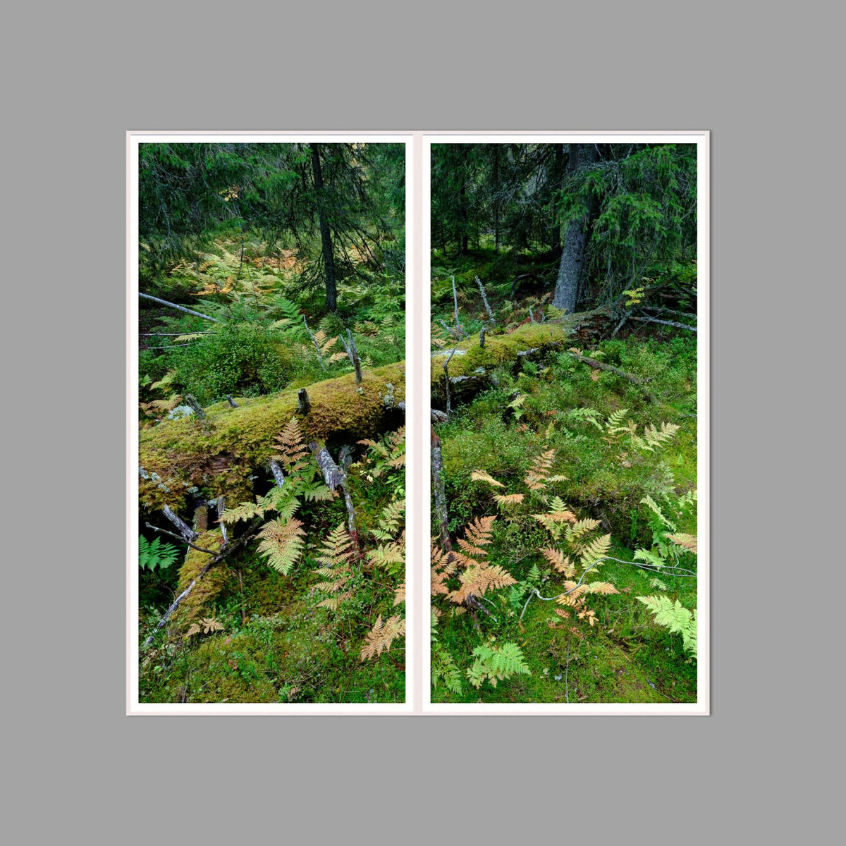 LED-Wandbild Zweiteiler hochkant 120x120 cm – Wald