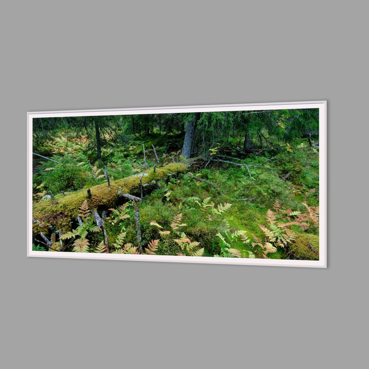 LED-Wandbild 60x120 cm quer – Wald