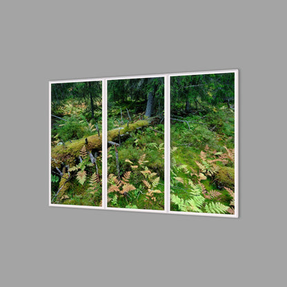LED-Wandbild Dreiteiler hochkant 180x120 cm – Wald