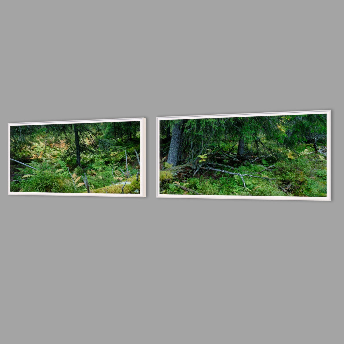 LED-Wandbild Zweiteiler quer mit Abstand – Wald
