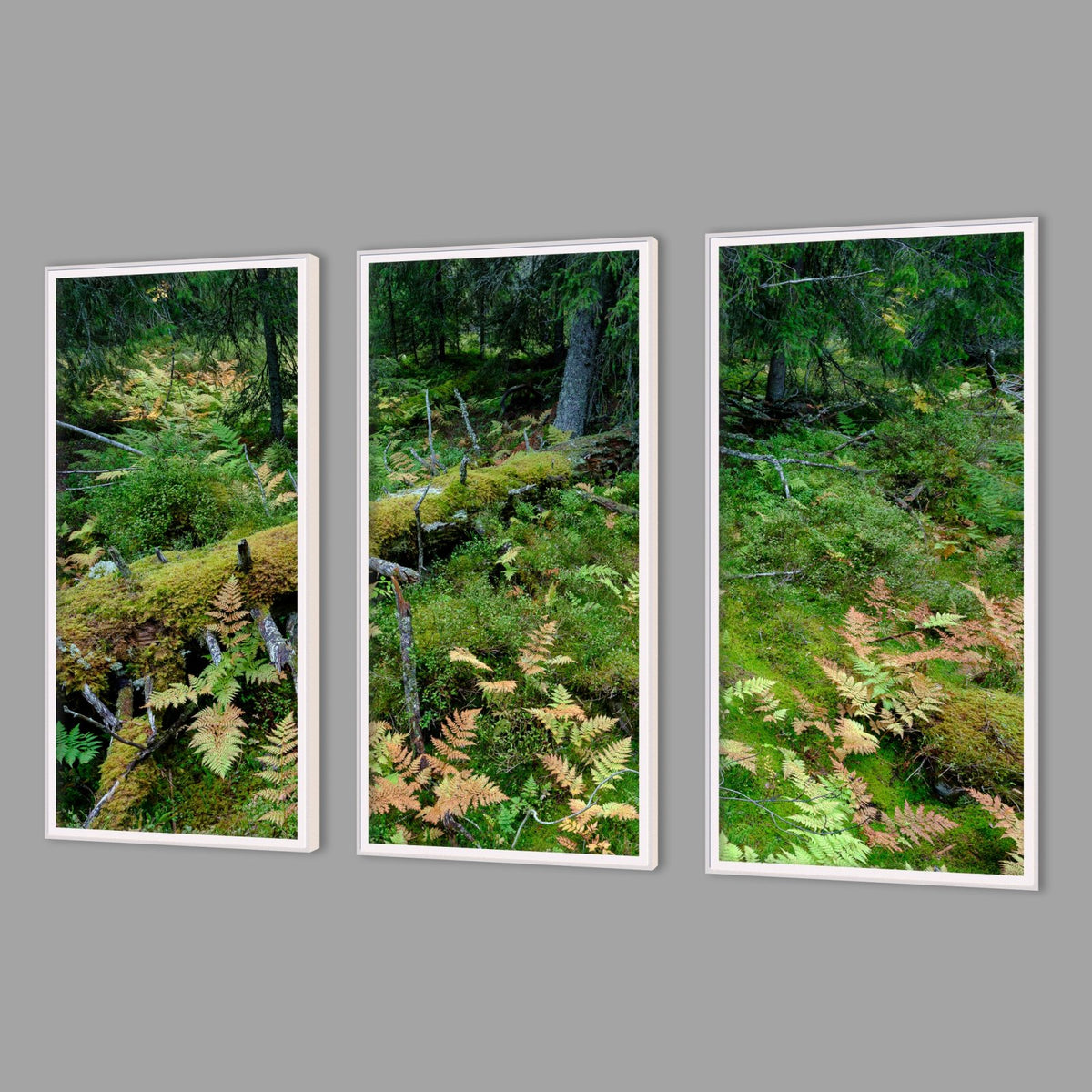 LED-Wandbild Dreiteiler hochkant mit Abstand – Wald