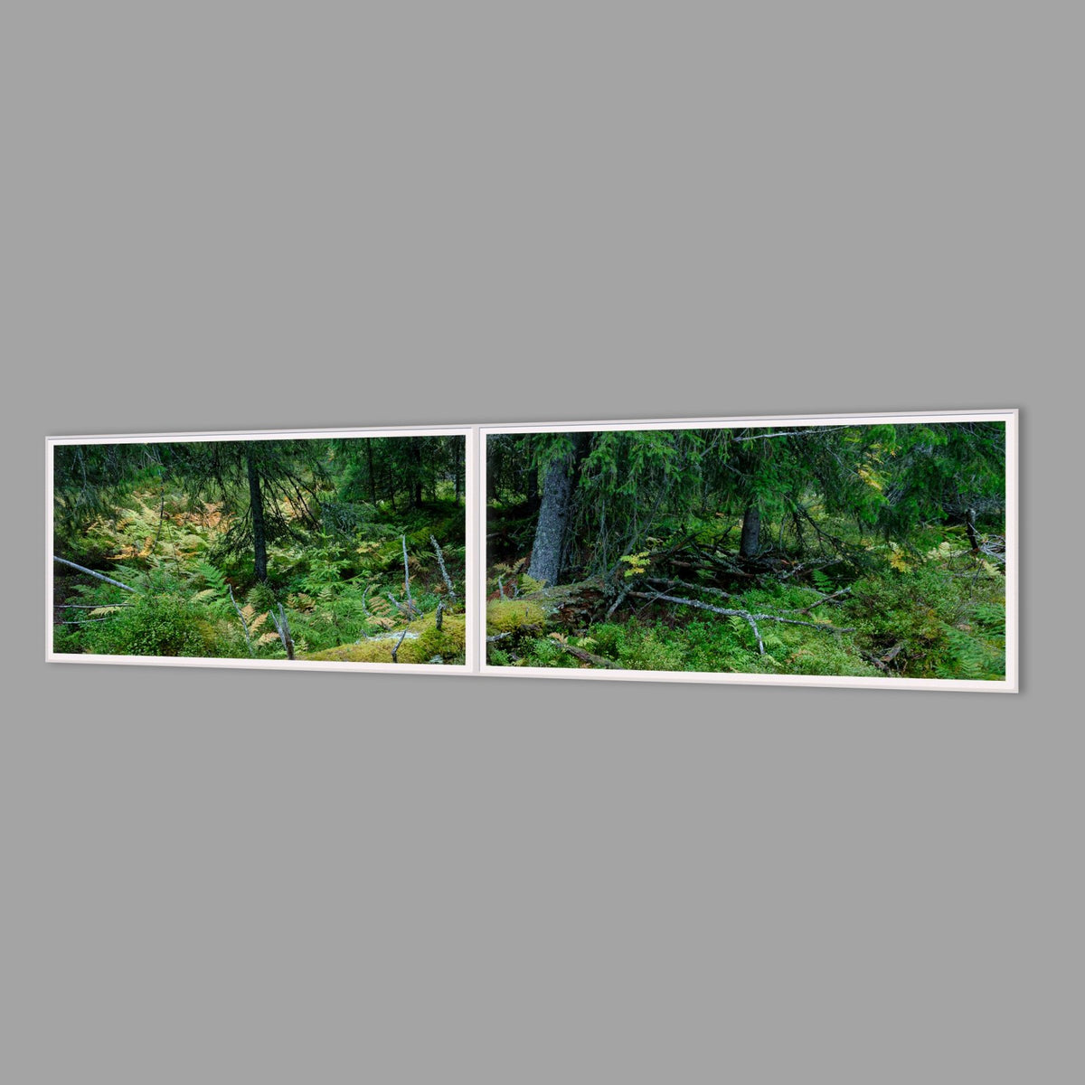 LED-Wandbild Zweiteiler quer 240x60 cm – Wald