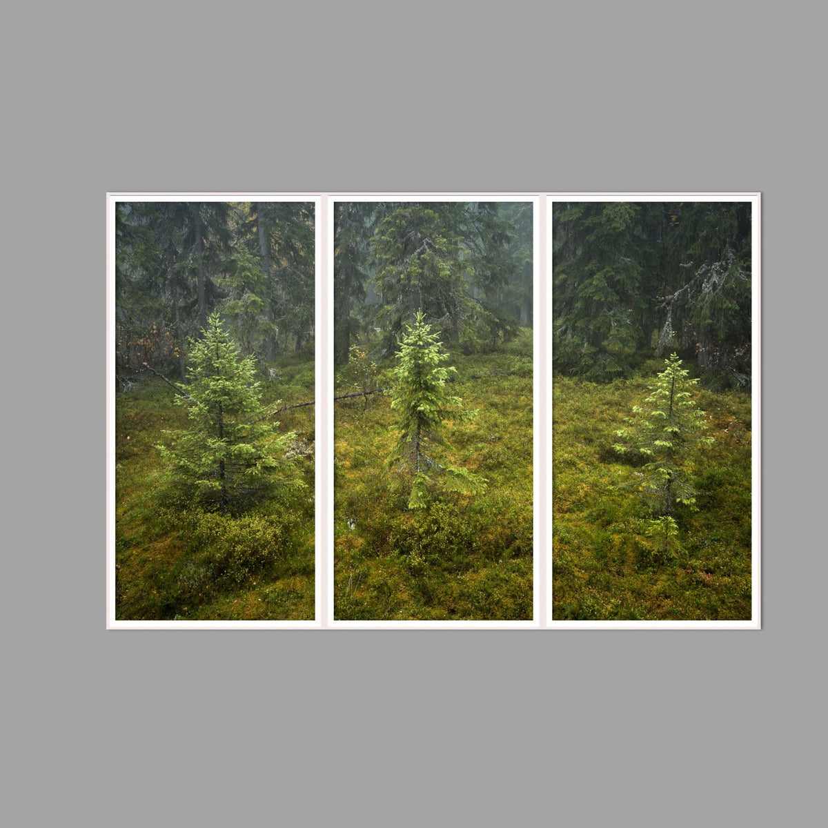 LED-Wandbild Dreiteiler hochkant 180x120 cm – Wald