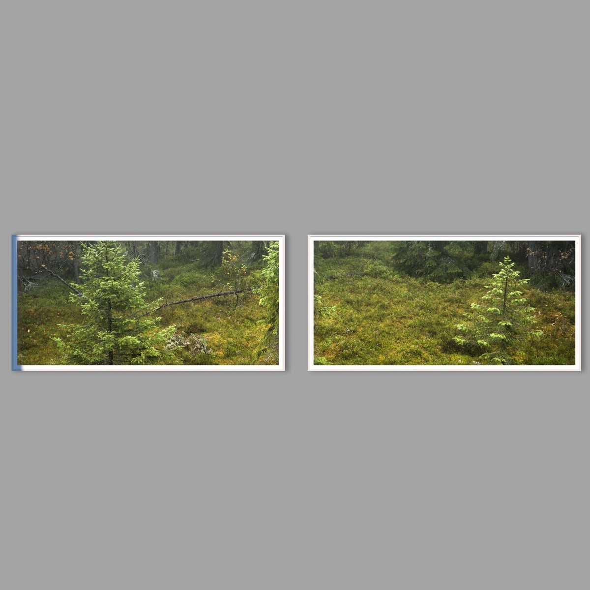 LED-Wandbild Zweiteiler quer mit Abstand – Wald