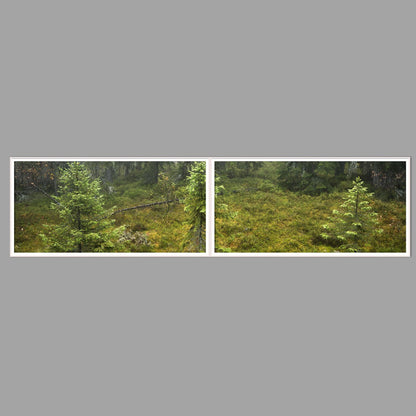 LED-Wandbild Zweiteiler quer 240x60 cm – Wald