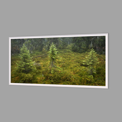 LED-Wandbild 60x120 cm quer – Wald