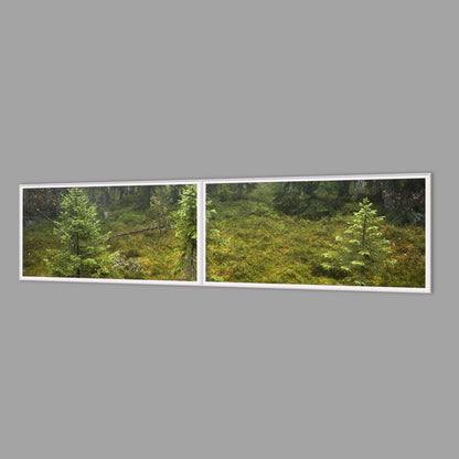 LED-Wandbild Zweiteiler quer 240x60 cm – Wald