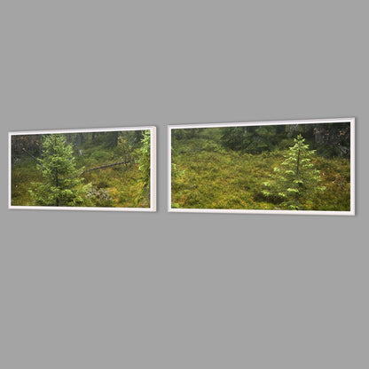 LED-Wandbild Zweiteiler quer mit Abstand – Wald