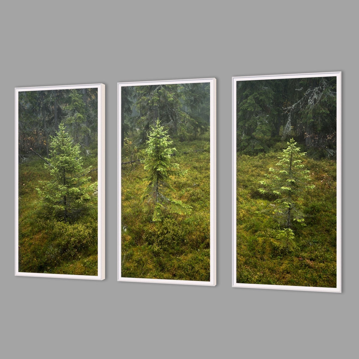 LED-Wandbild Dreiteiler hochkant mit Abstand – Wald