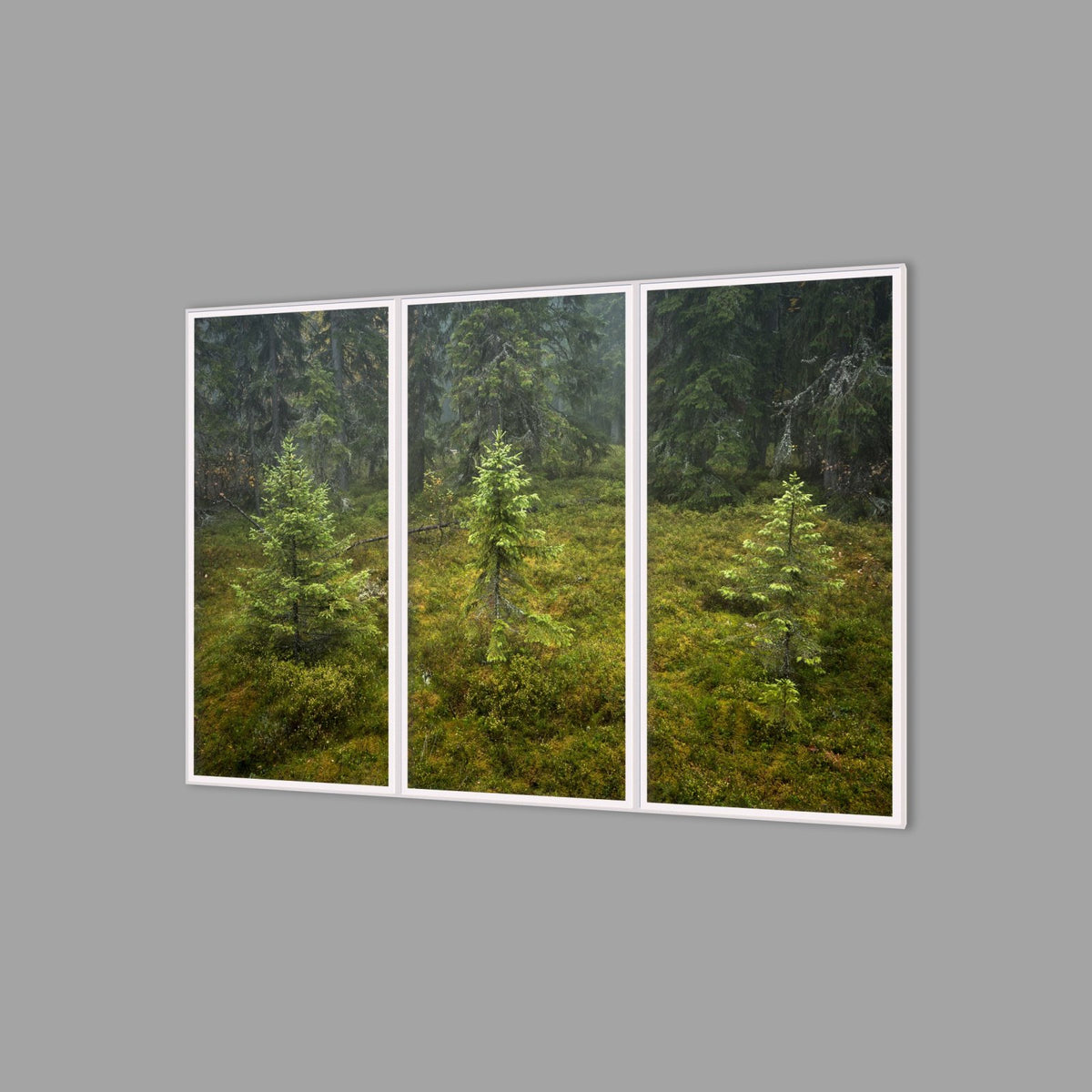 LED-Wandbild Dreiteiler hochkant 180x120 cm – Wald