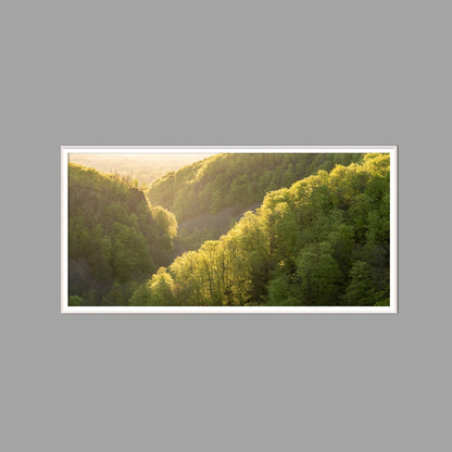 LED-Wandbild 60x120 cm quer – Wald