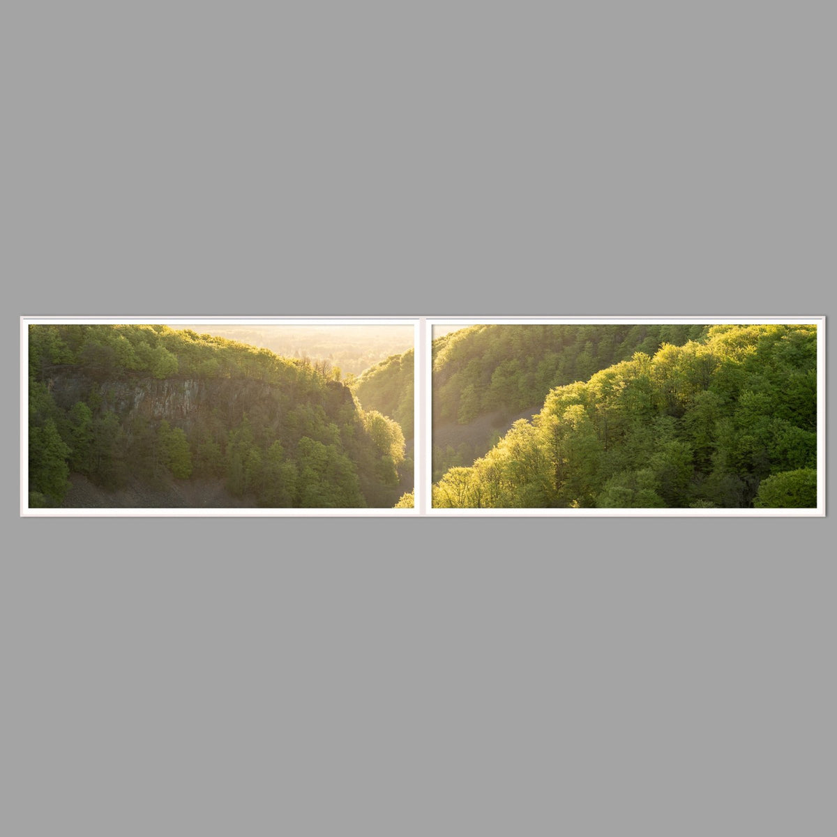 LED-Wandbild Zweiteiler quer 240x60 cm – Wald