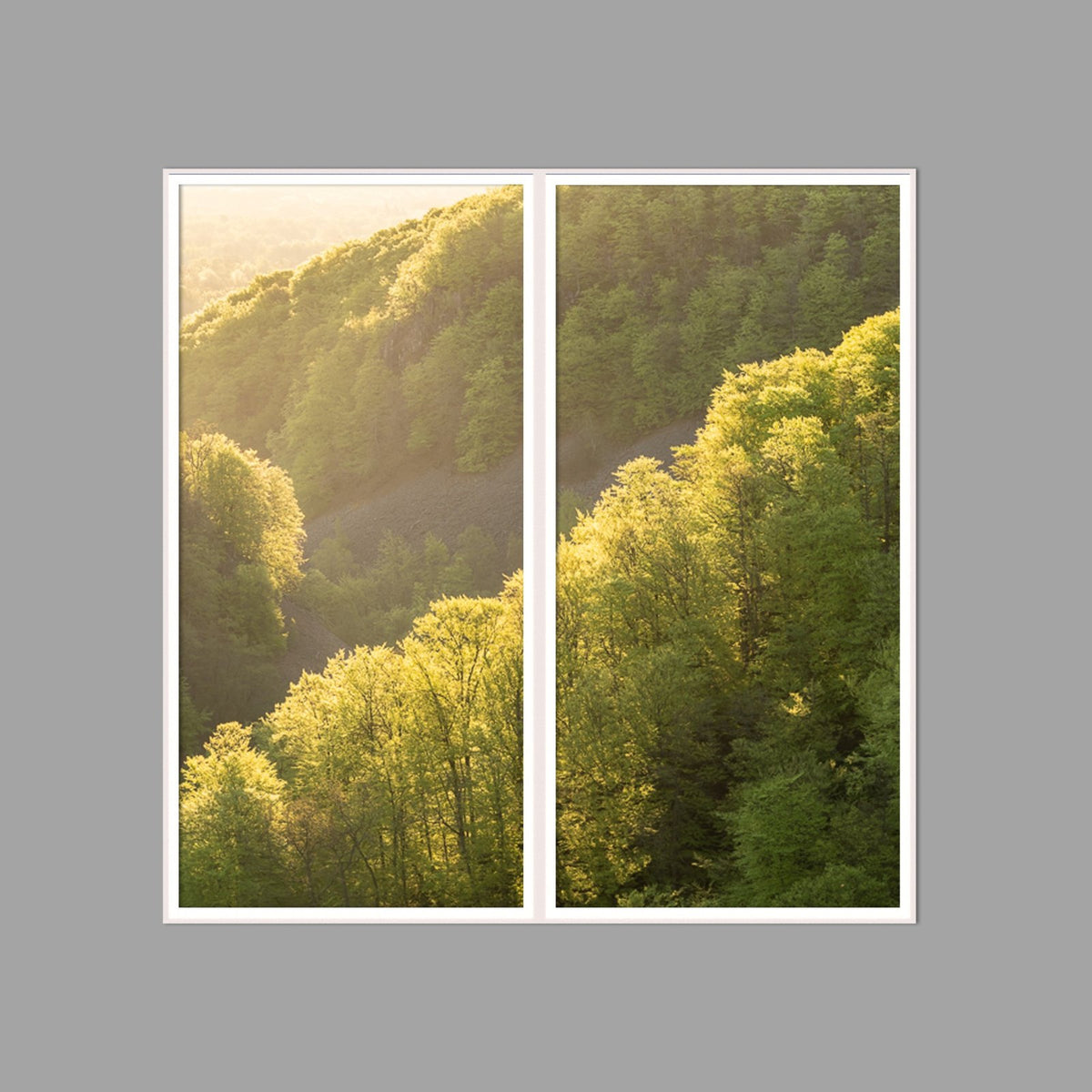 LED-Wandbild Zweiteiler hochkant 120x120 cm – Wald