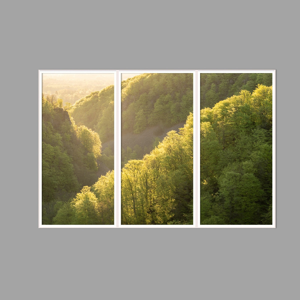 LED-Wandbild Dreiteiler hochkant 180x120 cm – Wald