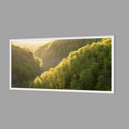 LED-Wandbild 60x120 cm quer – Wald
