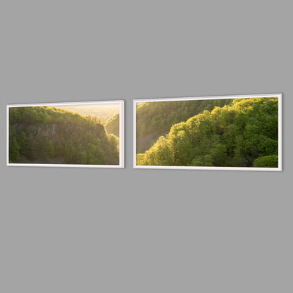 LED-Wandbild Zweiteiler quer mit Abstand – Wald
