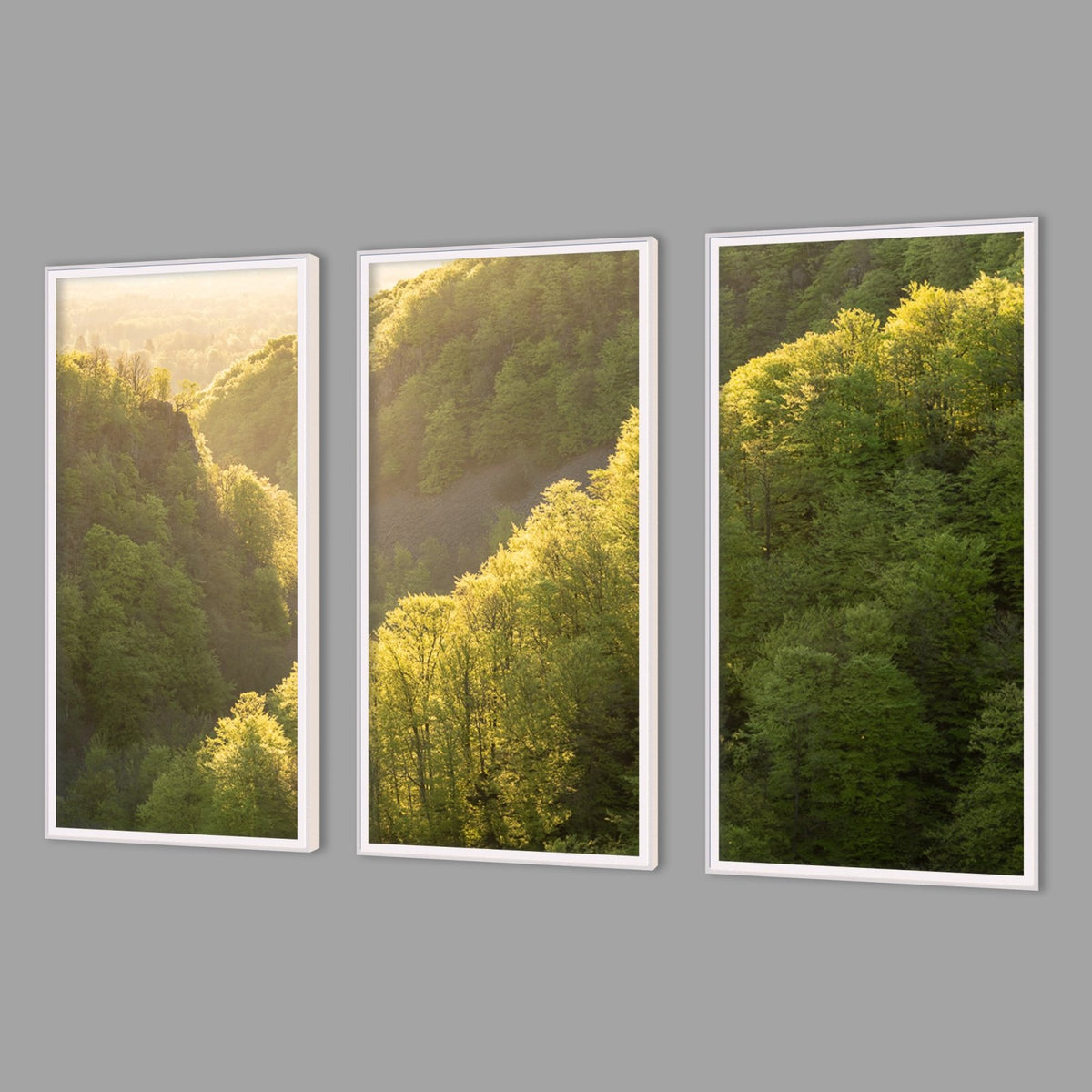 LED-Wandbild Dreiteiler hochkant mit Abstand – Wald