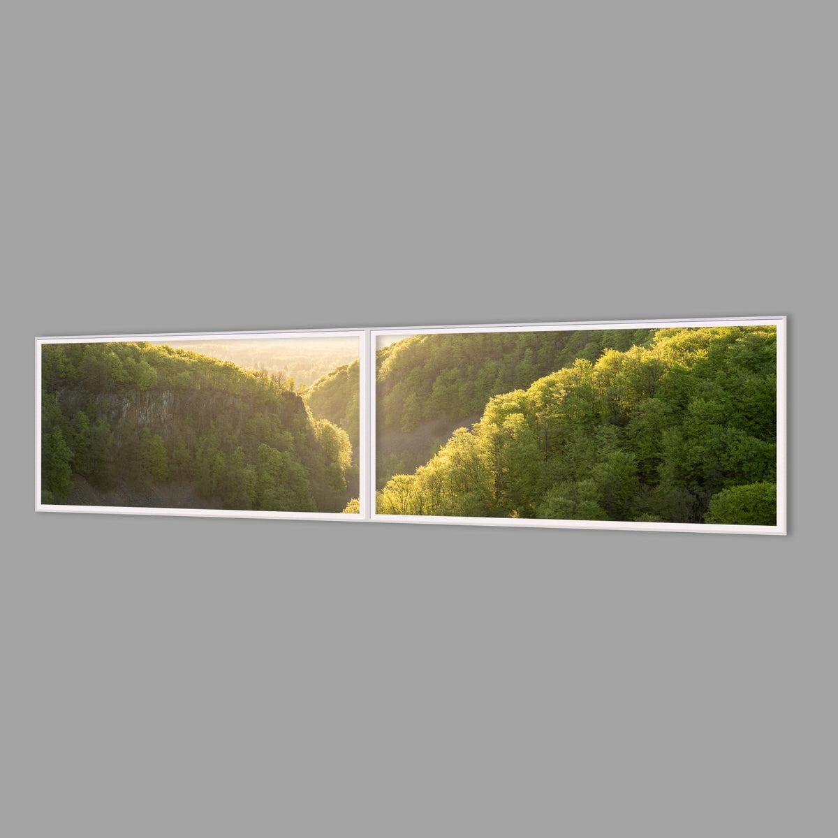 LED-Wandbild Zweiteiler quer 240x60 cm – Wald