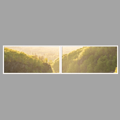 LED-Wandbild Zweiteiler quer 240x60 cm – Wald