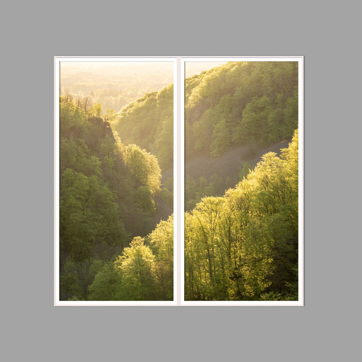 LED-Wandbild Zweiteiler hochkant 120x120 cm – Wald