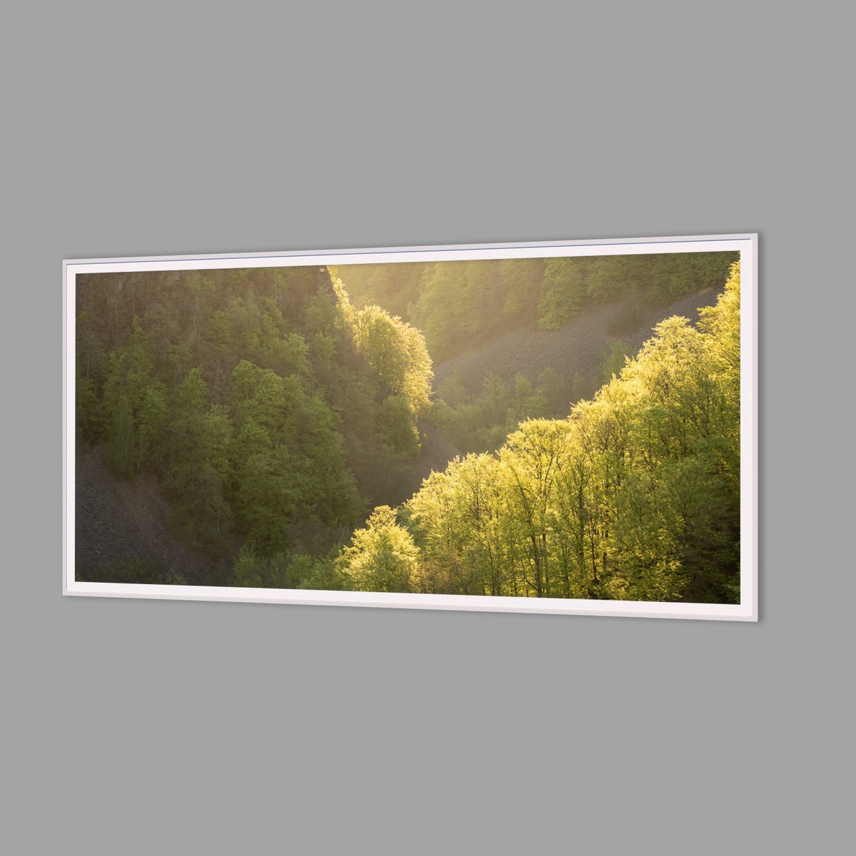 LED-Wandbild 60x120 cm quer – Wald