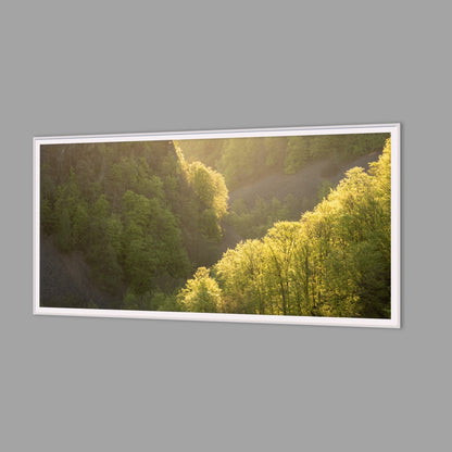 LED-Wandbild 60x120 cm quer – Wald
