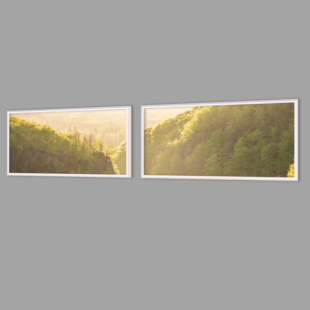 LED-Wandbild Zweiteiler quer mit Abstand – Wald