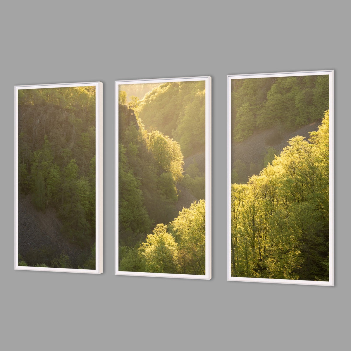 LED-Wandbild Dreiteiler hochkant mit Abstand – Wald
