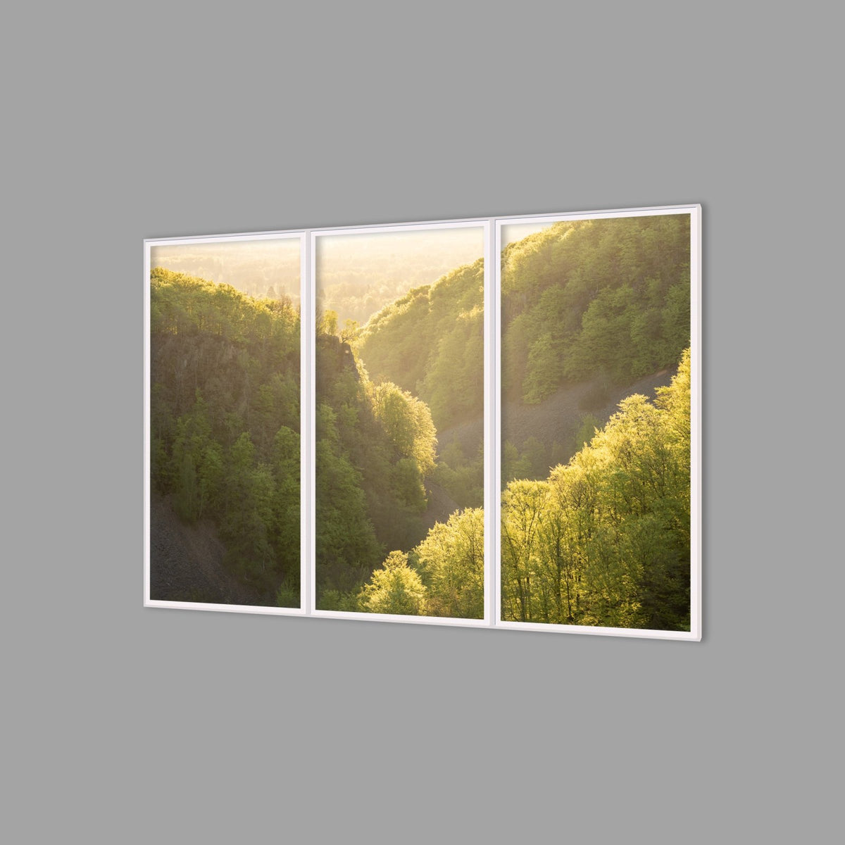 LED-Wandbild Dreiteiler hochkant 180x120 cm – Wald