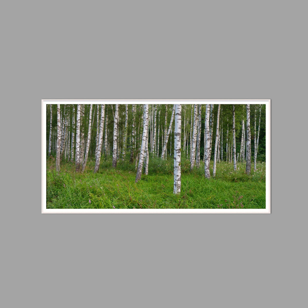 LED-Wandbild 60x120 cm quer – Wald