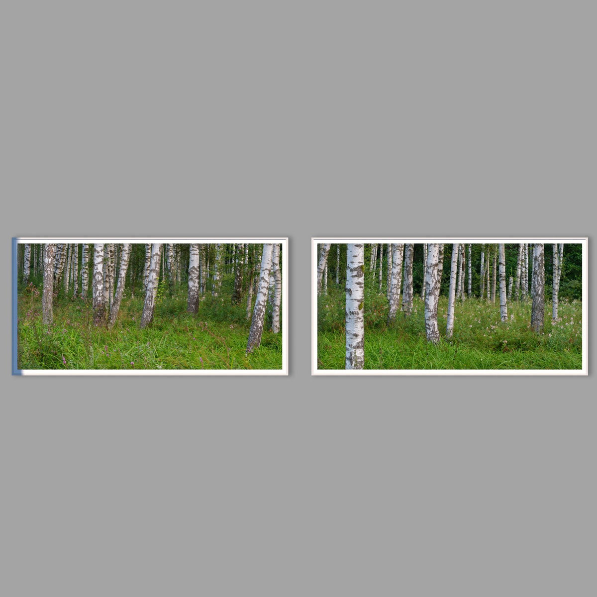 LED-Wandbild Zweiteiler quer mit Abstand – Wald