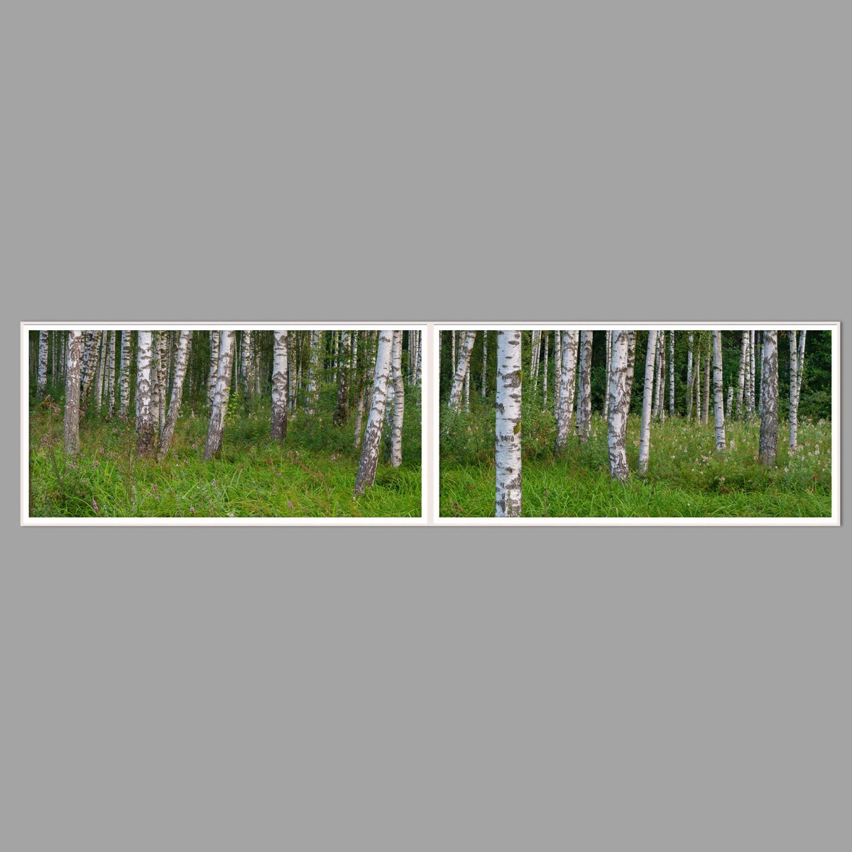 LED-Wandbild Zweiteiler quer 240x60 cm – Wald