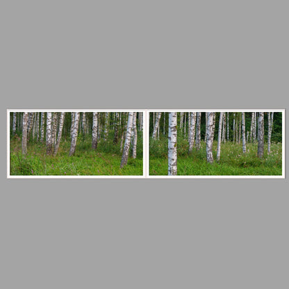 LED-Wandbild Zweiteiler quer 240x60 cm – Wald