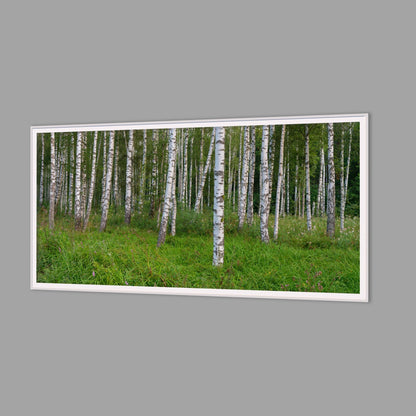 LED-Wandbild 60x120 cm quer – Wald