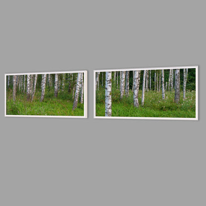 LED-Wandbild Zweiteiler quer mit Abstand – Wald