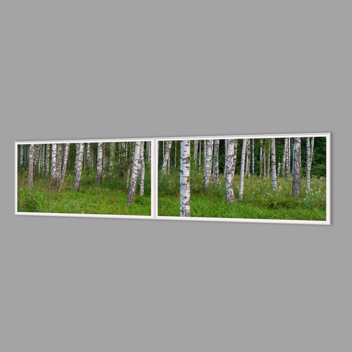 LED-Wandbild Zweiteiler quer 240x60 cm – Wald