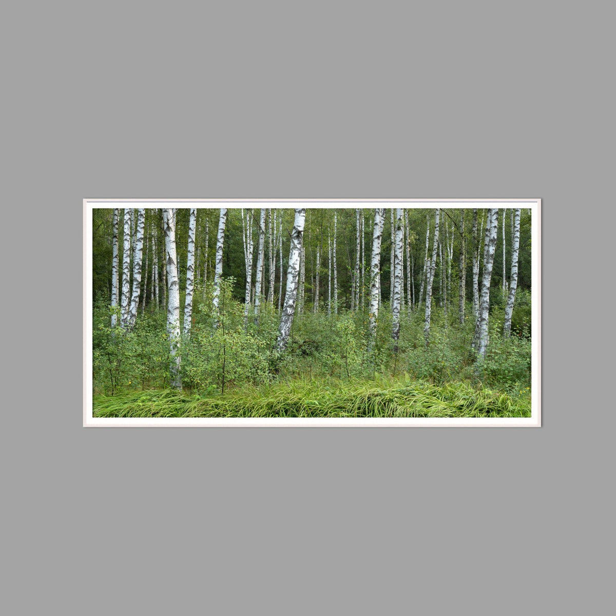 LED-Wandbild 60x120 cm quer – Wald