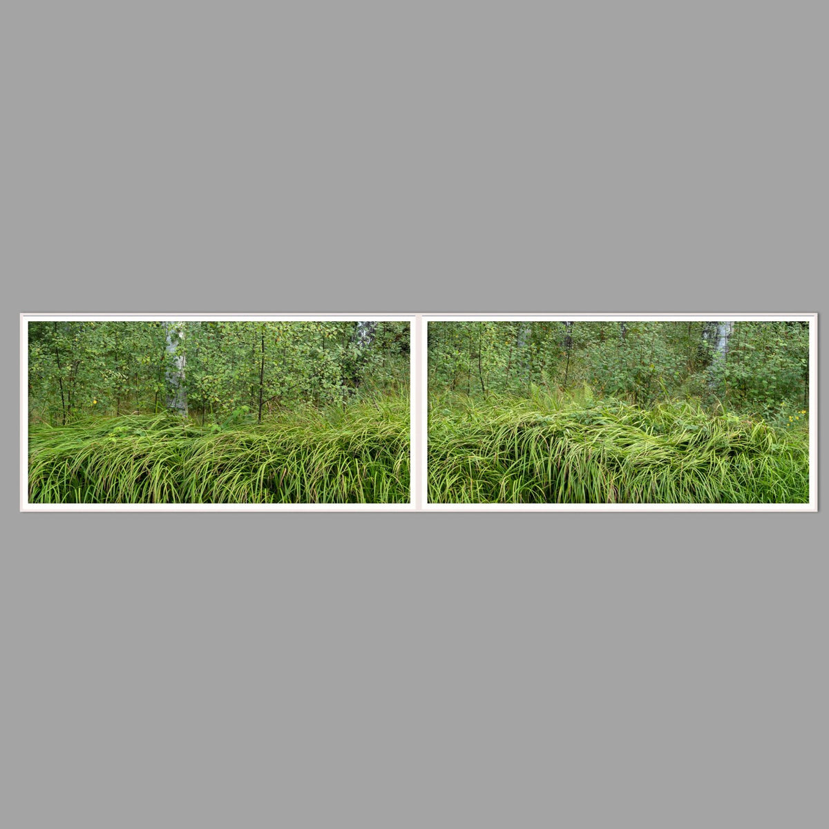 LED-Wandbild Zweiteiler quer 240x60 cm – Wald