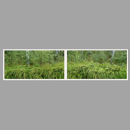 LED-Wandbild Zweiteiler quer 240x60 cm – Wald